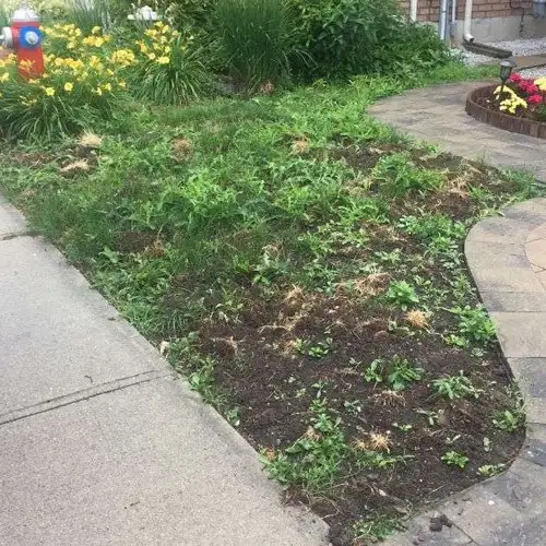 Landscaping Companies Mississauga