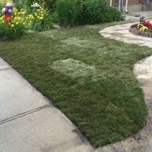 Landscaping Companies Mississauga