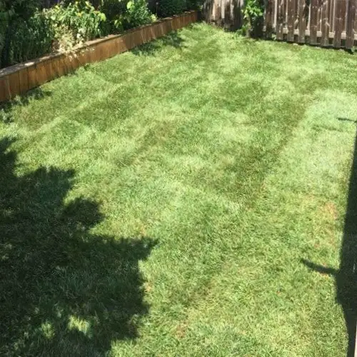 Landscaping Mississauga