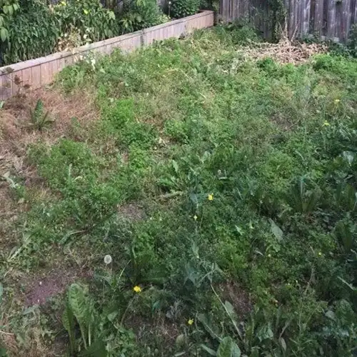 Landscaping Mississauga
