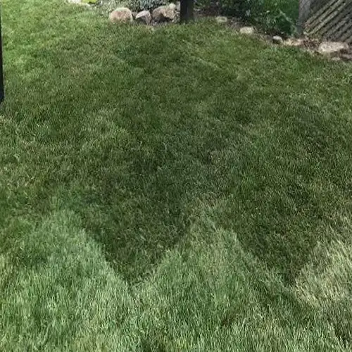Mississauga Landscaping