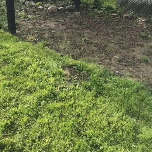 Mississauga Landscaping